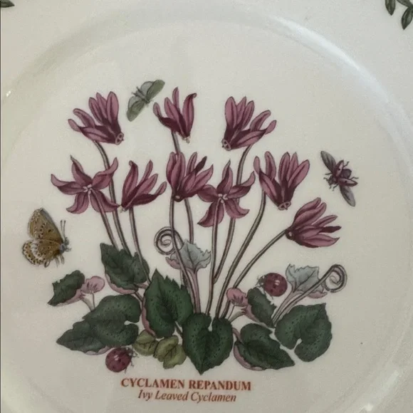 Botanic Garden Floral Luncheon Plate - Cyclamen - new and never been used. - Picture 3 of 3